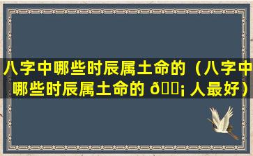 八字中哪些时辰属土命的（八字中哪些时辰属土命的 🐡 人最好）